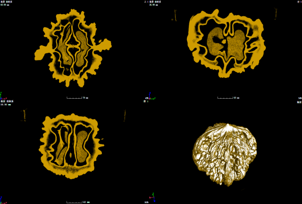 图片8.png 图片8.png